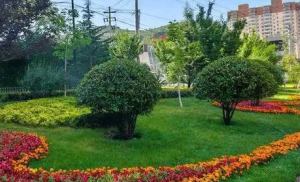 昆山綠化養護公司應該怎么選擇